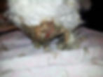 maden