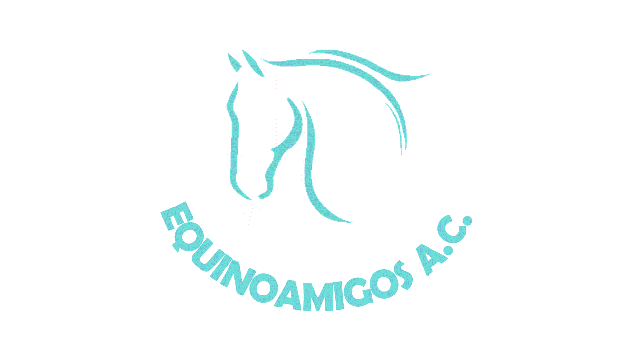 Logo oficial equinoamigos.gif