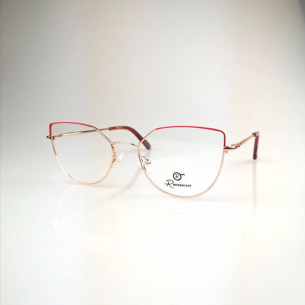 Lunettes roannaises