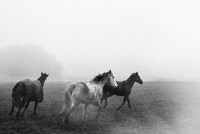 Paysages
