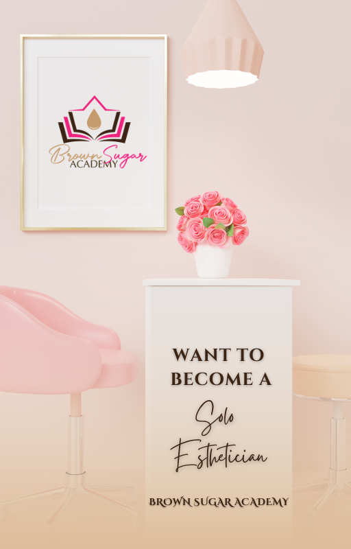 Solo Esthetician E Book