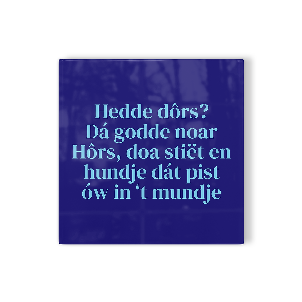 Thumbnail: Tegeltje Horst: Hedde dôrs? Dá godde noar Hôrs