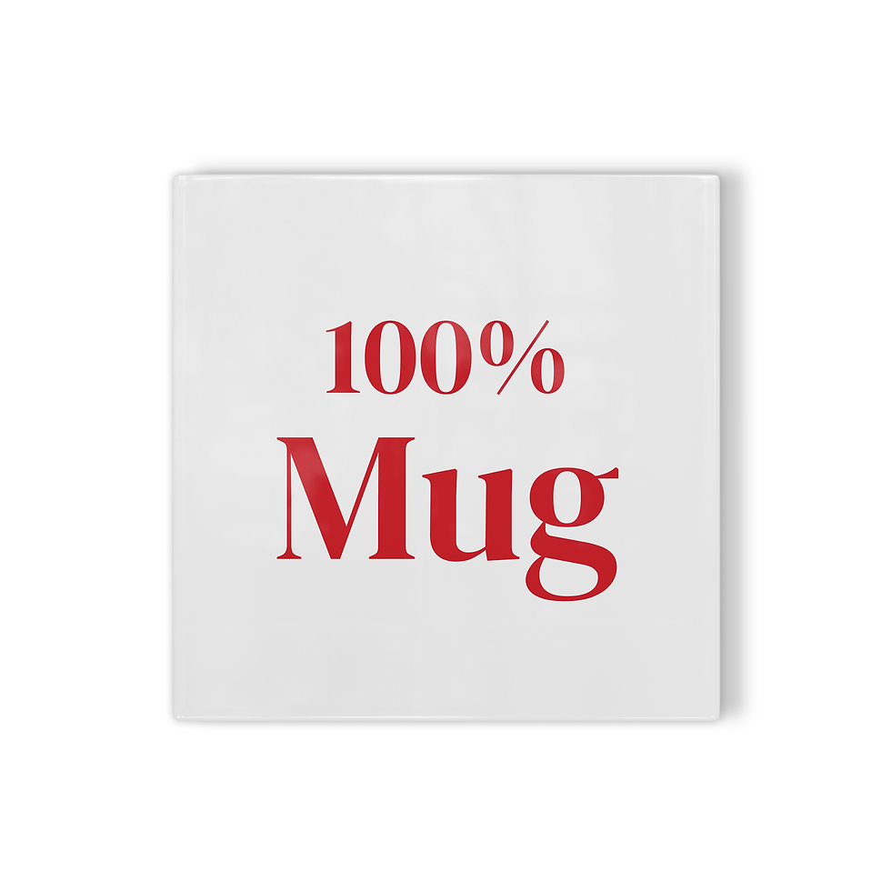 Tegeltje Haarlem - 100% Mug