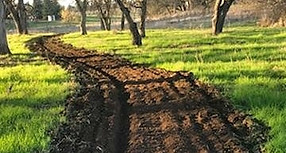 IMG_20171215_110905_214.jpg