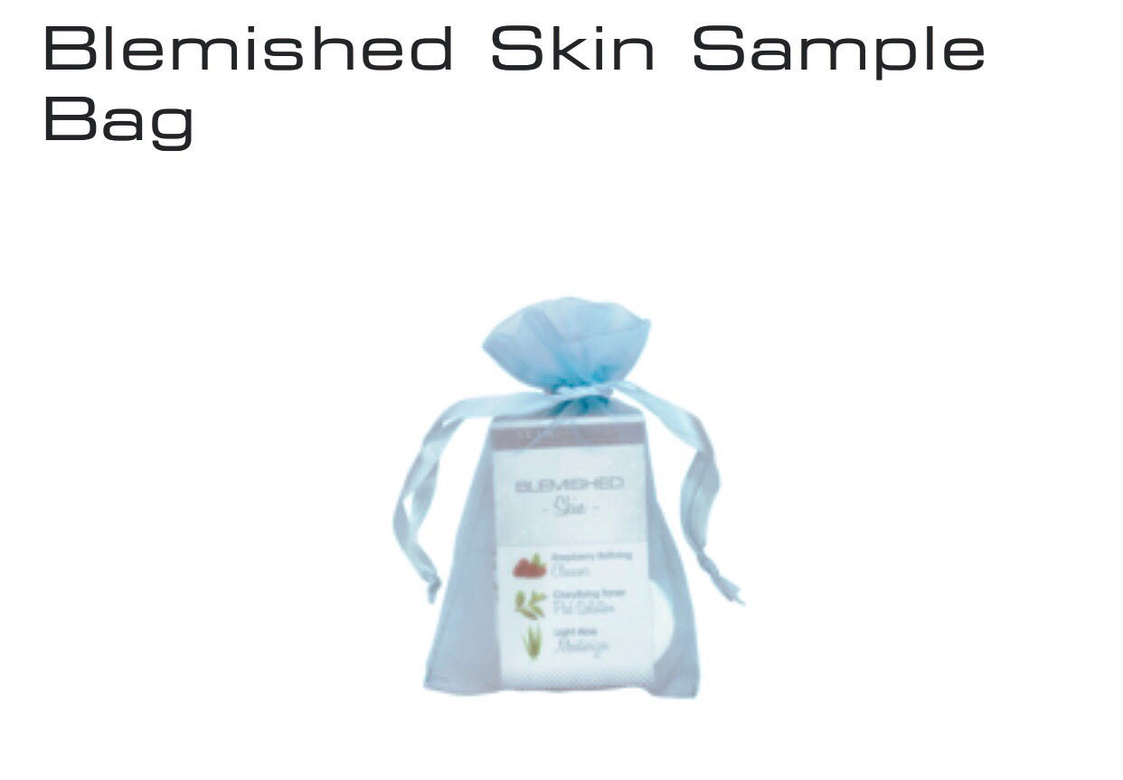 SkinScript RX Blemished Skin Sample Kit 