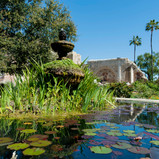 17-San Juan Capistrano-_DSC8688-EXTRA.jp
