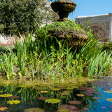 07-San Juan Capistrano-_DSC8696.jpg