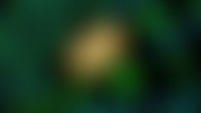 טוקניזציה של נכסים: מהפכה פיננסית מעבר לפינה