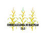 Copia%20de%20stiker%20(1)_edited.jpg