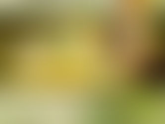 Bless the Lord oh my soul! Praise Him! Praise Him! Praise Him! Be encouraged today! ❤️🙏🏽😇☀️