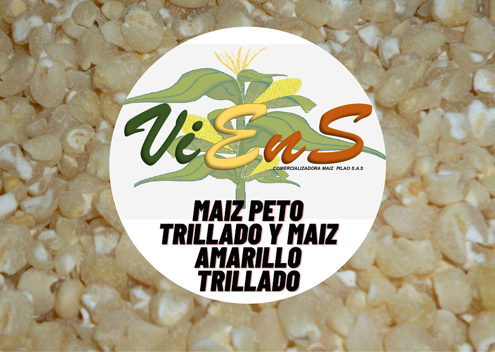 masa blanxco0 para empanadas (2)