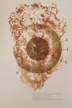 El Ojo Silva