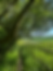 Summer series - day retreat