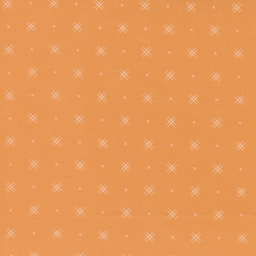 Beyond Bella - 16740 162 - Amelia Apricot