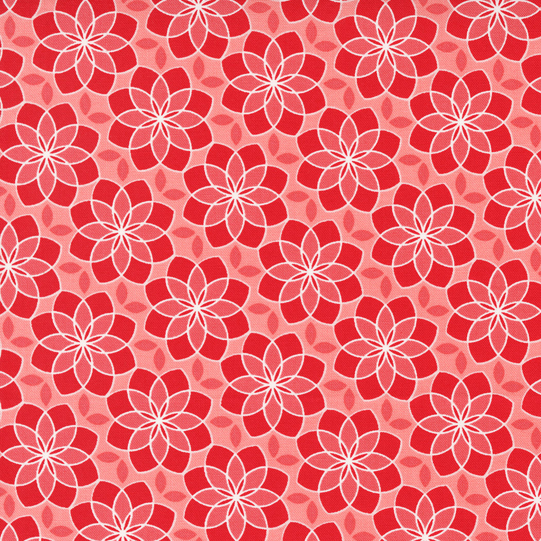 Zinnia - 24132 15