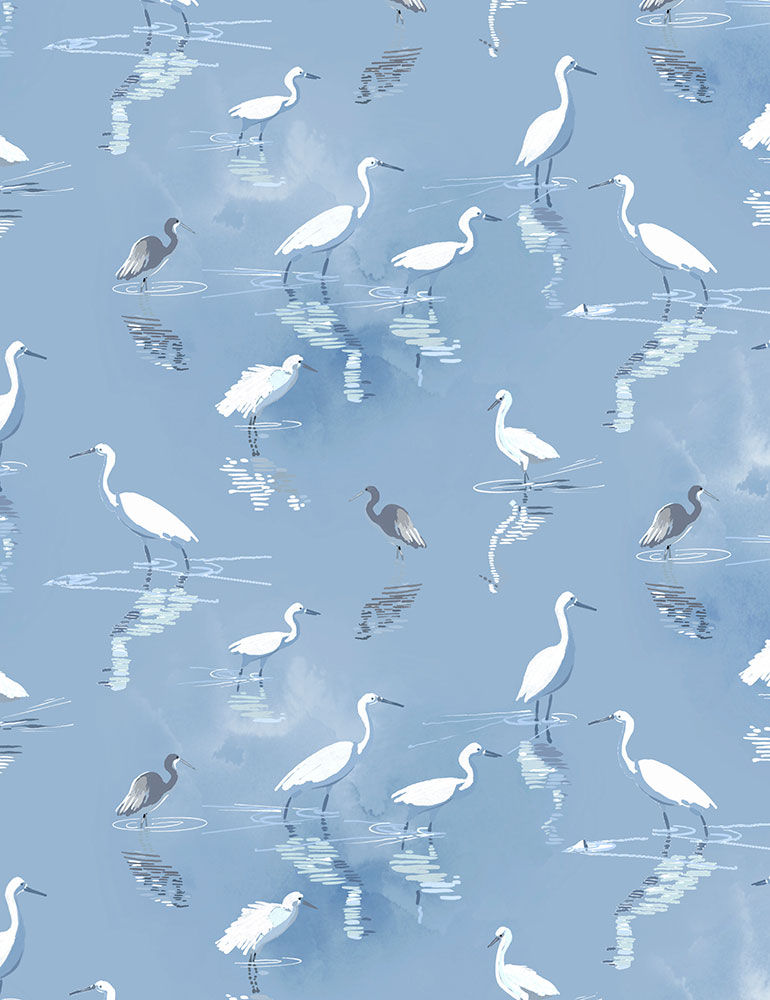 Thomas - Blue - CD1304