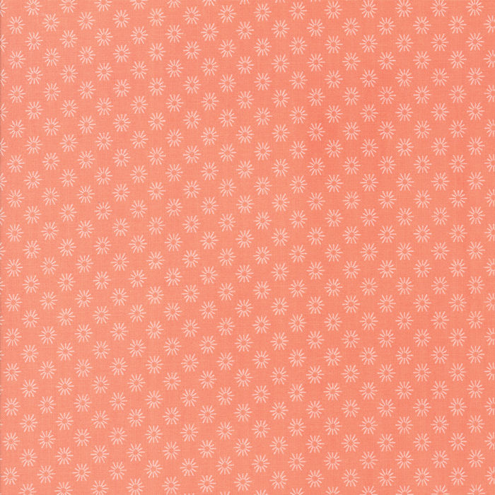 Sunnyside Up - 29057 25