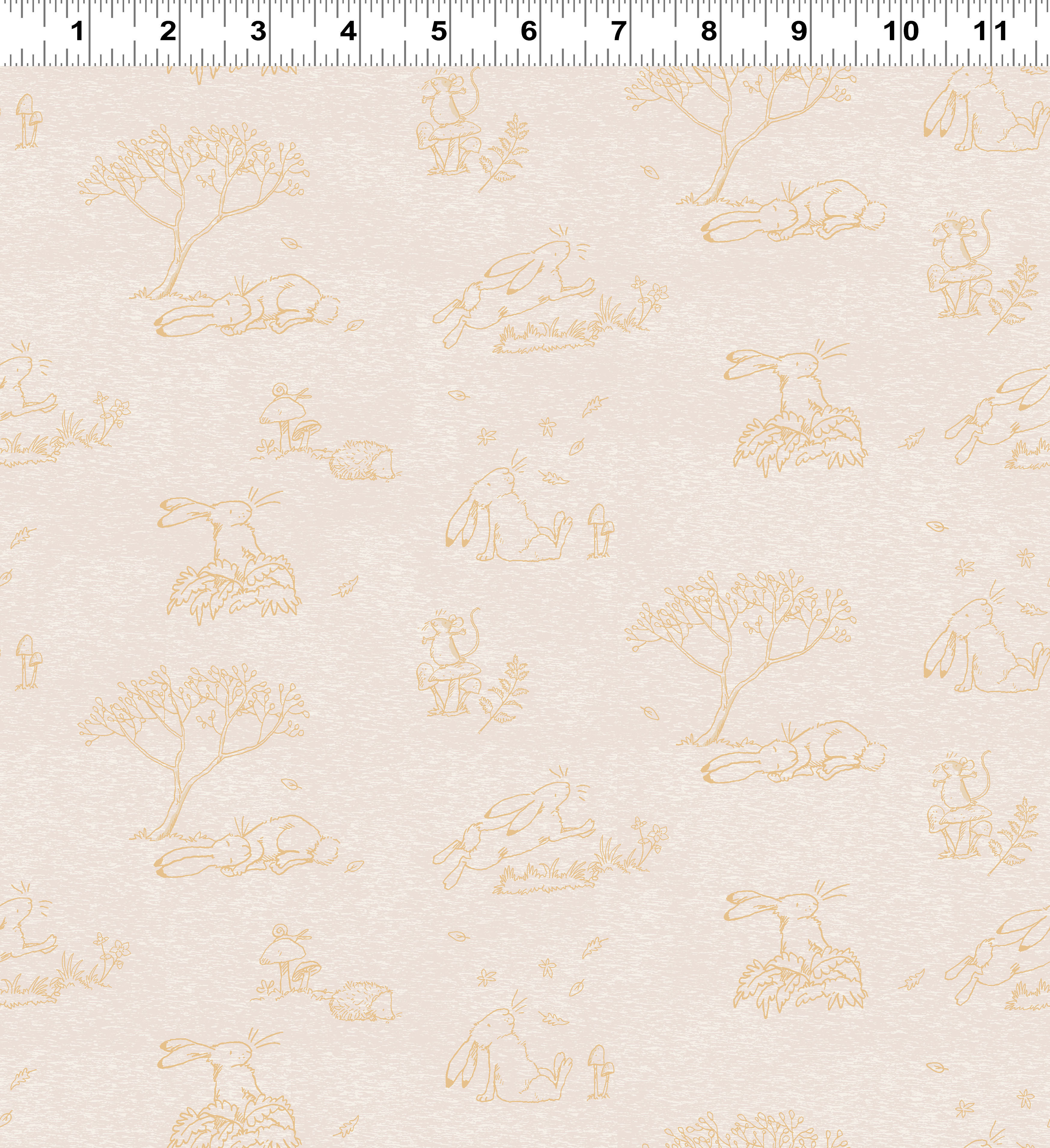 Guess How Much I Love You: 4248 11