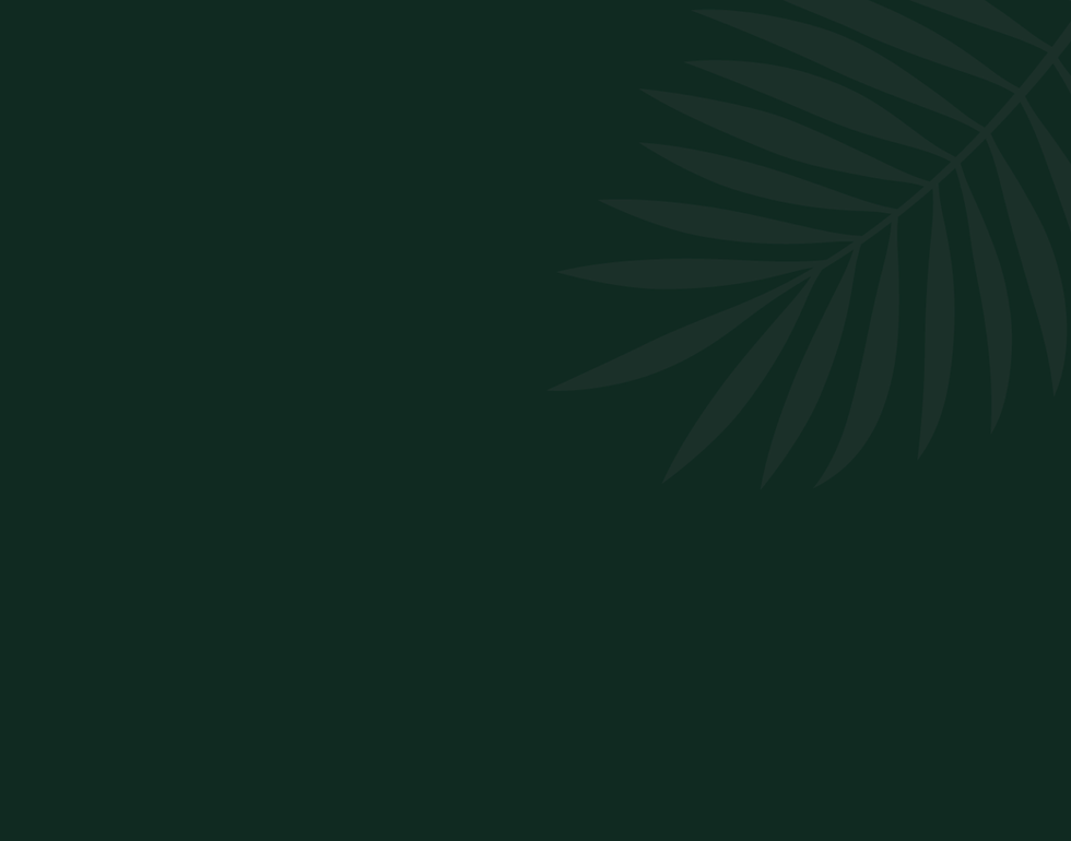 Untitled-2.png