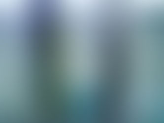 React Redux Final Project