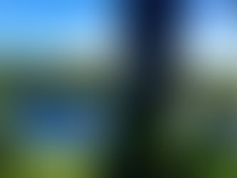 Oh, Ruby, I Review You