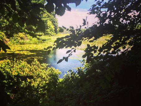 Rails Review and Portfolio Project