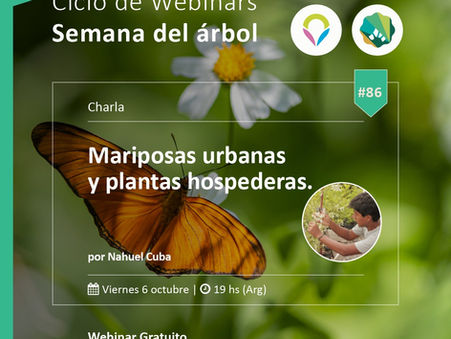 Este viernes aprenderemos sobre Mariposas urbanas y plantas hospederas, ¡Sumate!