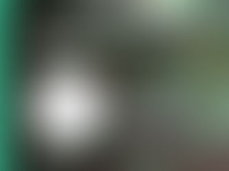 Salimos a identificar nativas, ¡Sumate!