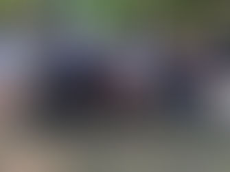 Primera jornada de plantación del año en la Reserva Ecológica Costanera Sur junto a Phoenix Tower