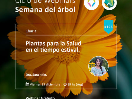 Último webinar del año: Plantas para la salud en el tiempo estival con la Dra. Sara Itkin
