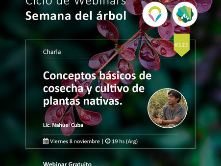 Ciclo de Webinars de Semana del Árbol: Cosecha y cultivo de plantas nativas con Nahuel Cuba