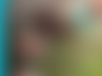 Este viernes aprenderemos sobre los Jardines de Mariposas, ¡Sumate!