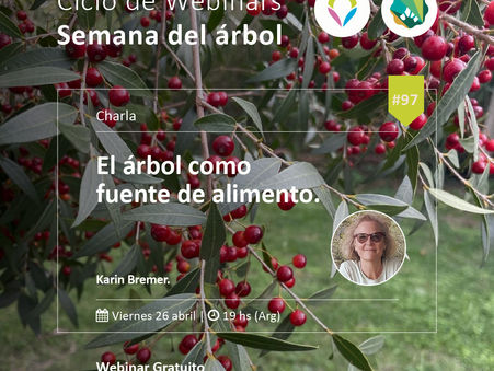 ¡Sumate este viernes a un nuevo webinar!