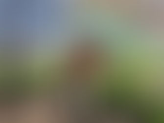 Biosistemas en Atamisqui. Primera Parte: Fortalecimiento del vivero de la Escuela de Familias AgrĂcolas Atamisqui