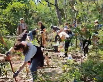 Plantación de 103 árboles junto a PwC Argentina en la Reserva Ecológica Costanera Sur