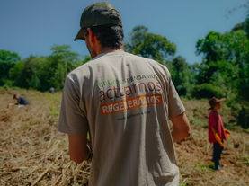 M2 x Naturaleza: Una Iniciativa para restaurar la Selva Misionera y compensar emisiones