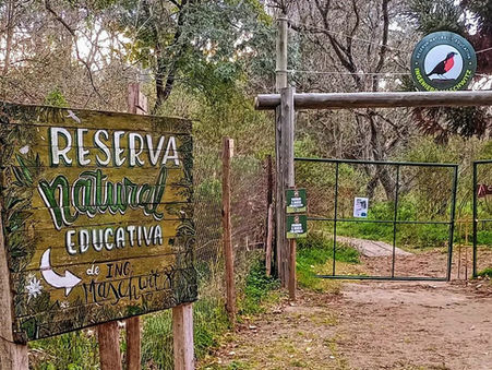 ¡Salimos a identificar nativas!