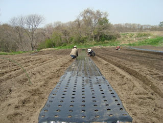 本日の労働成果