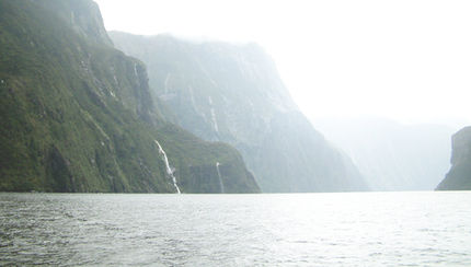 Lab group has moved to New Zealand! And we have undergraduate and postgraduate scholarships availabl