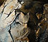 DSC01453_2 (1)_edited.jpg