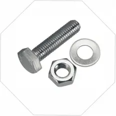 SS Bolt Nut.webp