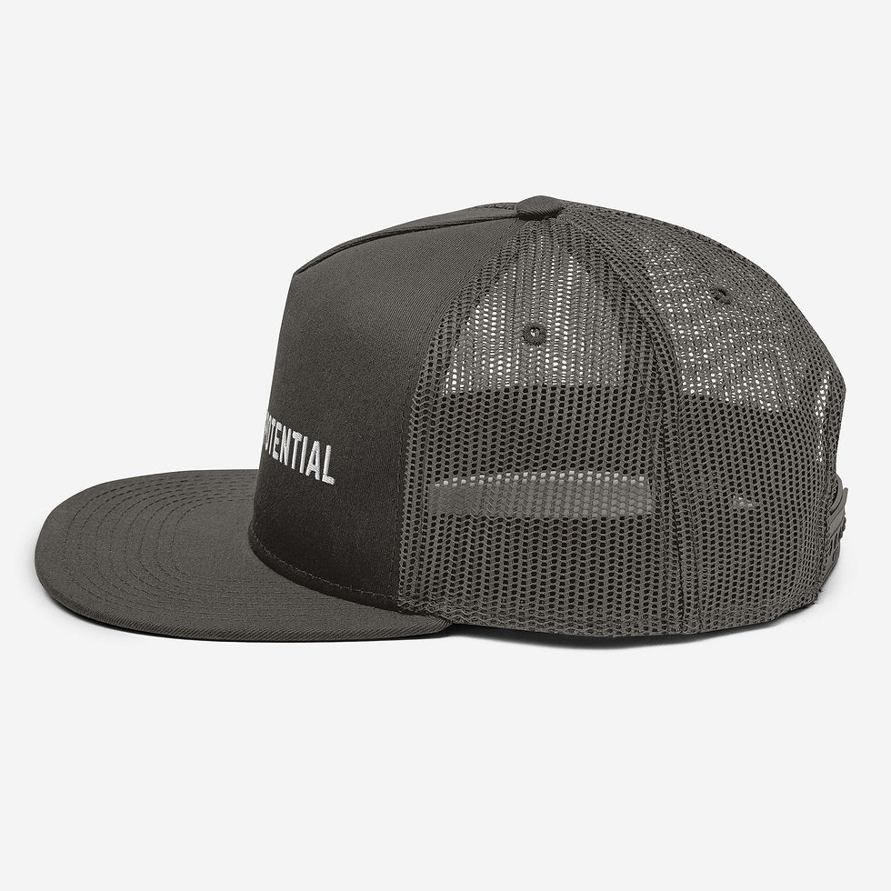 Thumbnail: Past Does Not Equal Potential Embroidered Mesh Back Snapback