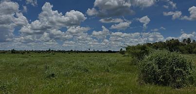IMG_9370_edited.jpg