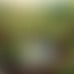 Esperanza: El Papel del Pastoreo Regenerativo en la Lucha contra Incendios y Inundaciones