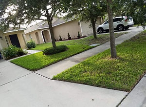 received_3127993520766065.jpeg