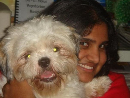  Why Animals Have Always Had My Heart