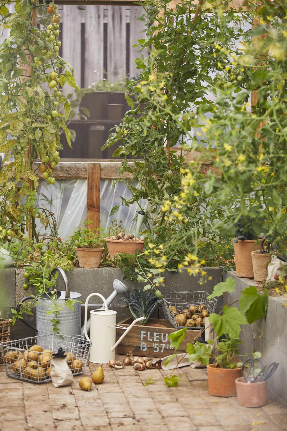 Miniature : Set de 2 Pots Hortense en terre cuite
