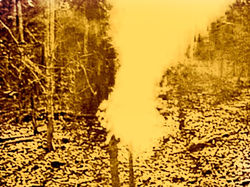 11233509_10153286459494793_72379860531577573_n