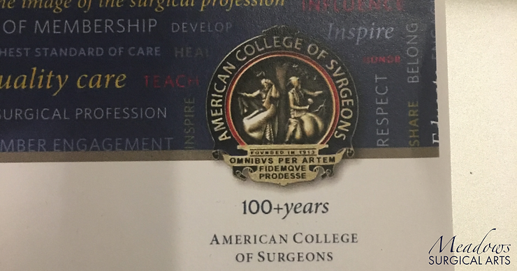 Fellowship in American College of Surgeons (FACS) | Lapel Pin | Meadows Surgical Arts