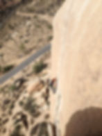Joshua Tree